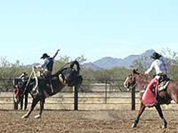 Rodeos at Cocoraque Ranch