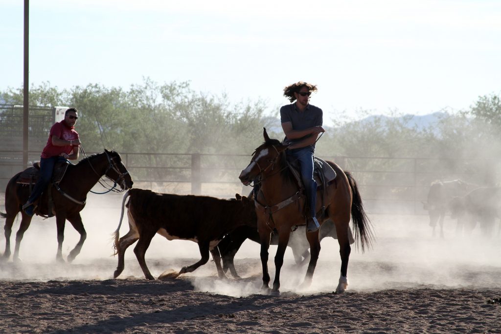 These are the crown jewels of the desert wedding scene. Think sprawling properties with authentic haciendas, horse stables, and century-old mesquite trees. They offer multiple ceremony backdrops (mountains, gardens, chapels) and built-in Western character. Ideal for couples seeking a timeless, authentic, and fully immersive experience.